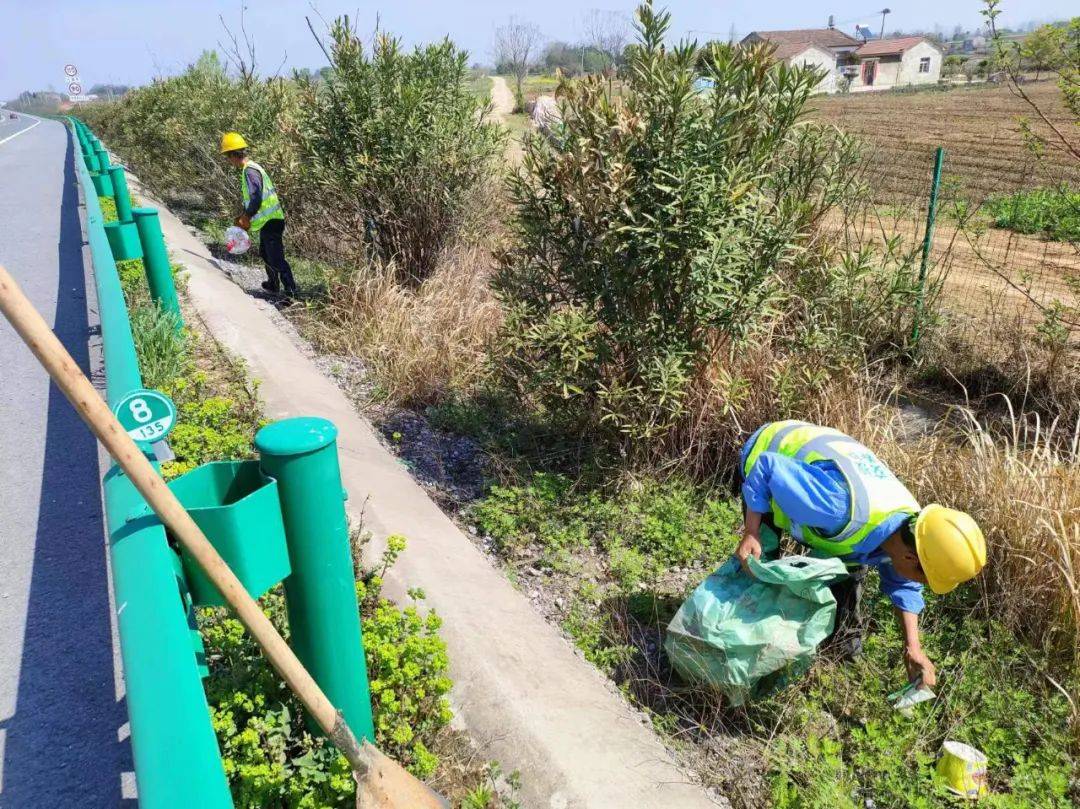 清理高速沿线白色垃圾清理边沟积淤、杂草清理路肩枯树落叶part.3“修剪梳