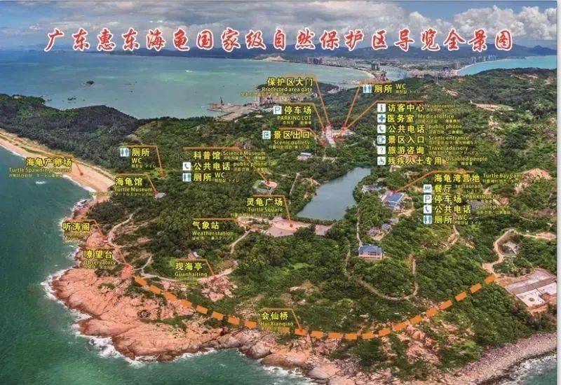 【惠州海龟湾】暑期爆款,悬崖酒店来袭!