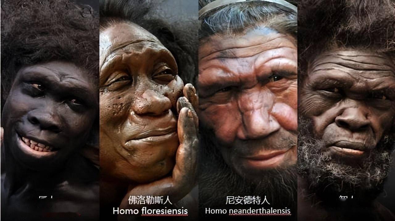 祖先_人类_女性