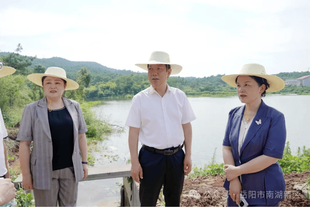 筑牢防汛"安全堡垒"!刘启峰赴南湖新区巡查一线大堤和病险水库工作