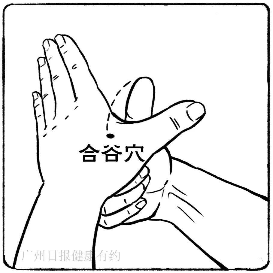 动一动就大汗淋漓,应该如何调理?_身体状况_情况_症状