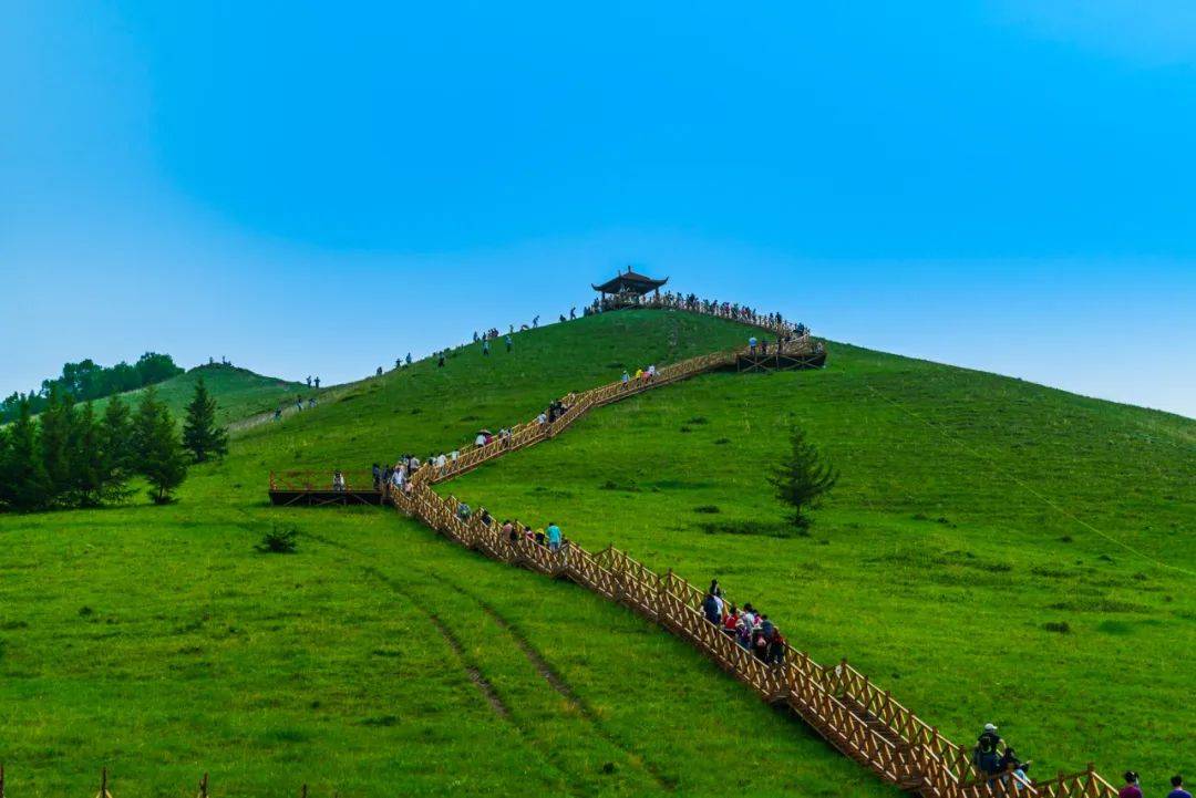 黄安坝草原图片