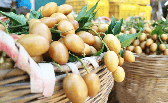 罗定这种"黄金果"可以止咳,降火,消暑…全身都是宝!