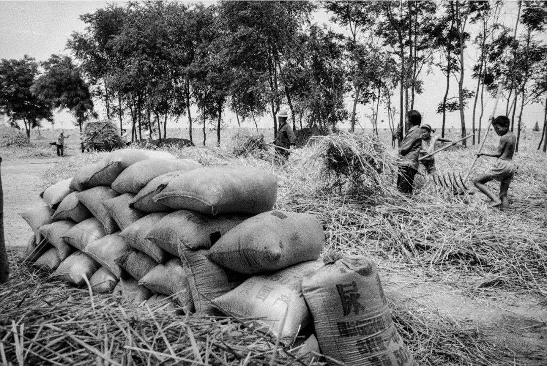 67会员佳作 | 王超英:黄河儿女——菏泽黄河百姓纪实摄影五十年