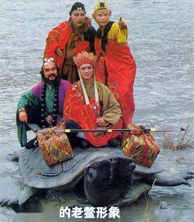 48枚!濒危物种——西游记中的"老鼋",在浙江青田完成"裂变"