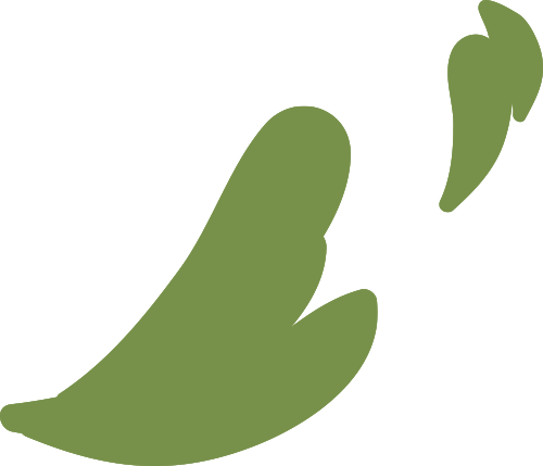 张莲编辑发布 |谢沛儒一审一校 |余颖二审二校 |蒋双双三审三校 |谢珊