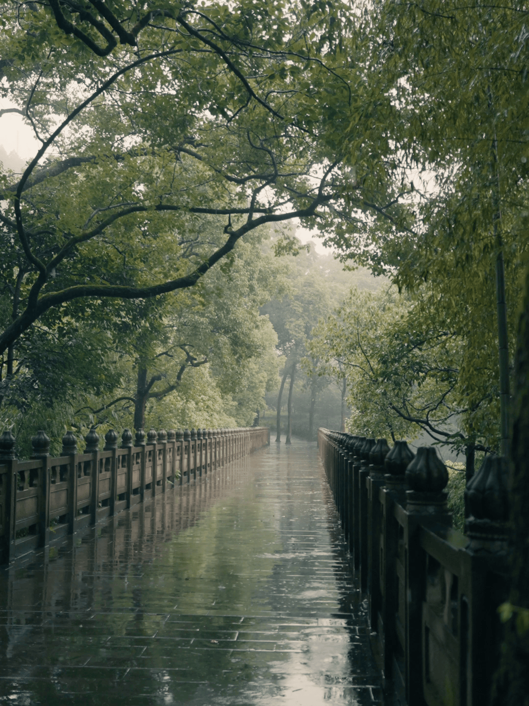 雨中大自然美景图片图片