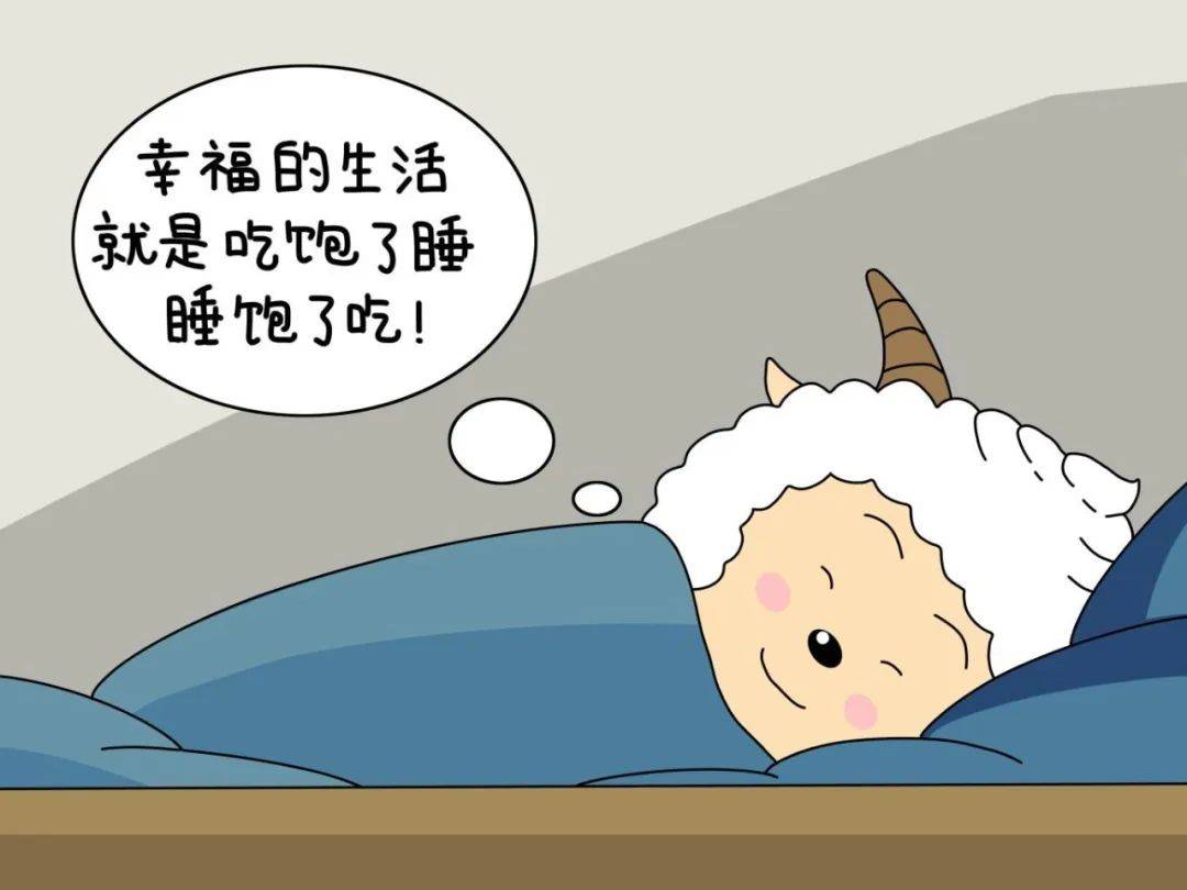 解锁今日ip:可爱的小懒