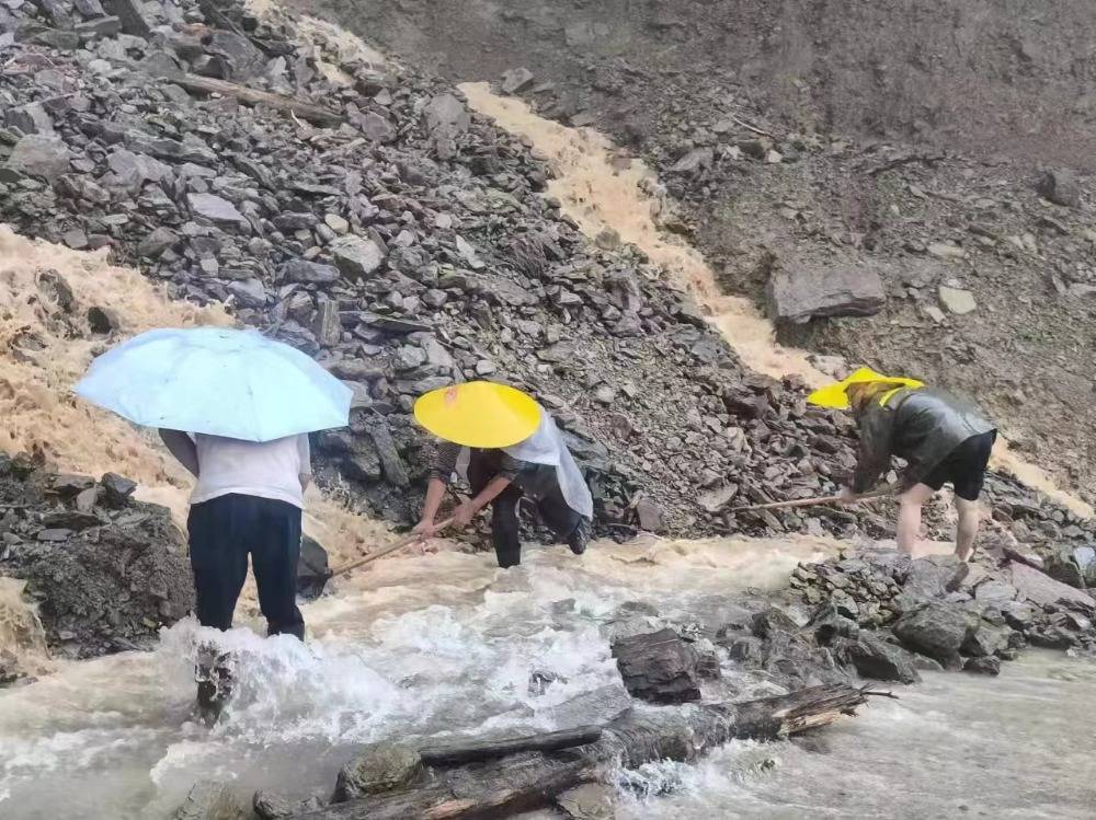 忠县_组织_垫江县