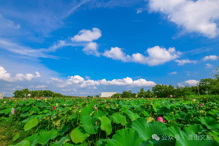 皖美夏日丨潜山文旅夏季旅游攻略:清凉避暑之旅