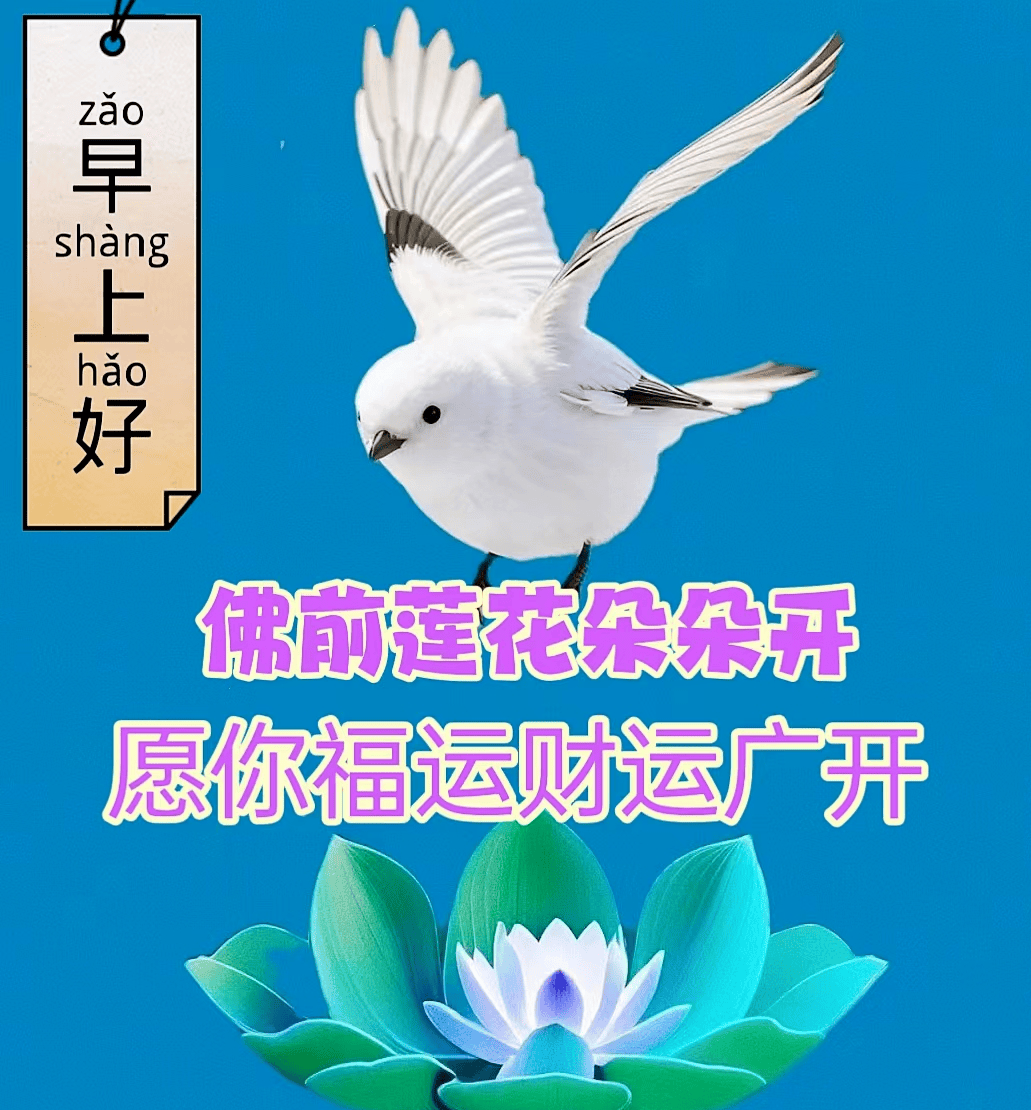 最新早上好表情包大全