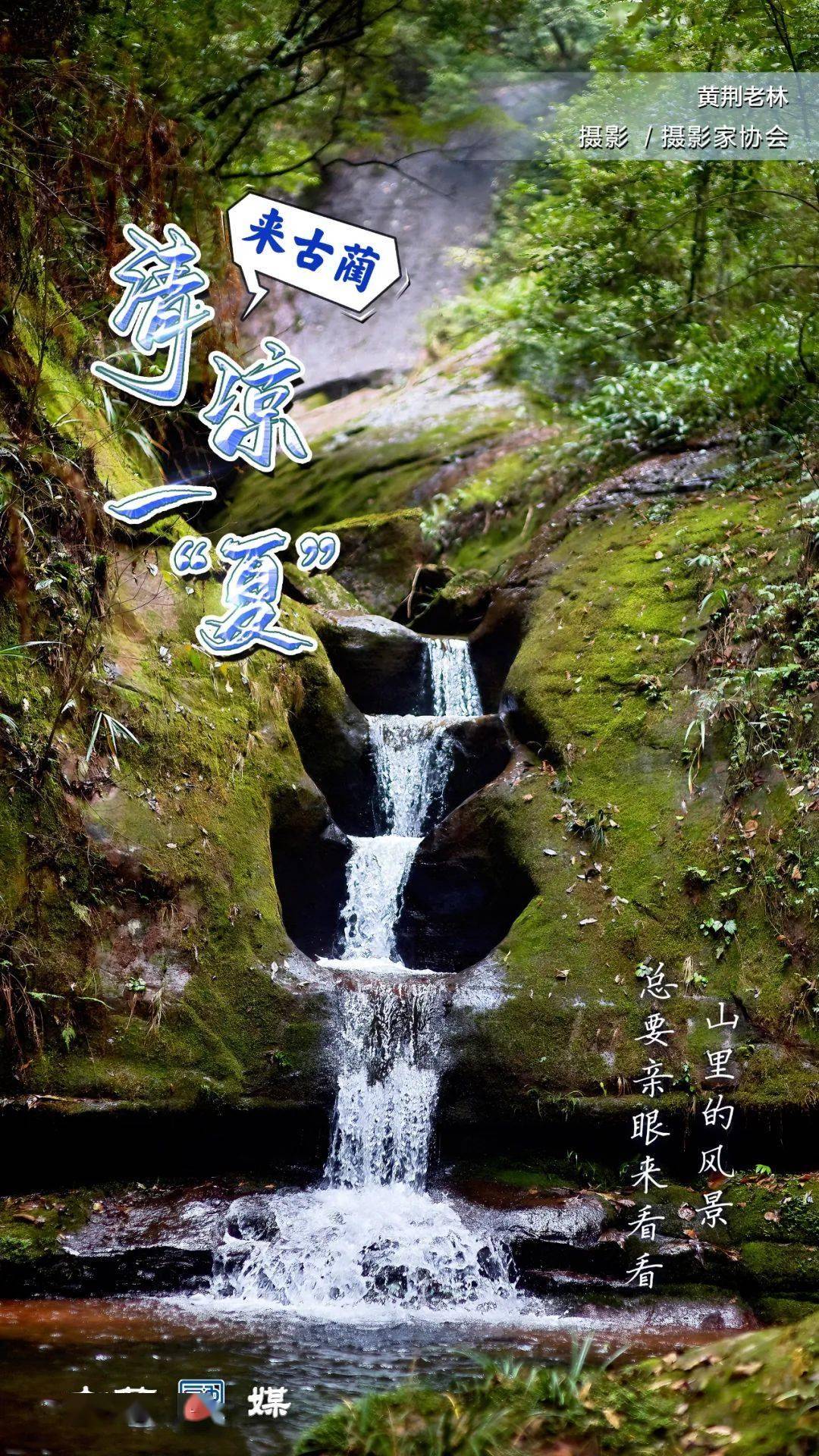 均温20度的黄荆老林!来一场洗心润肺之旅!