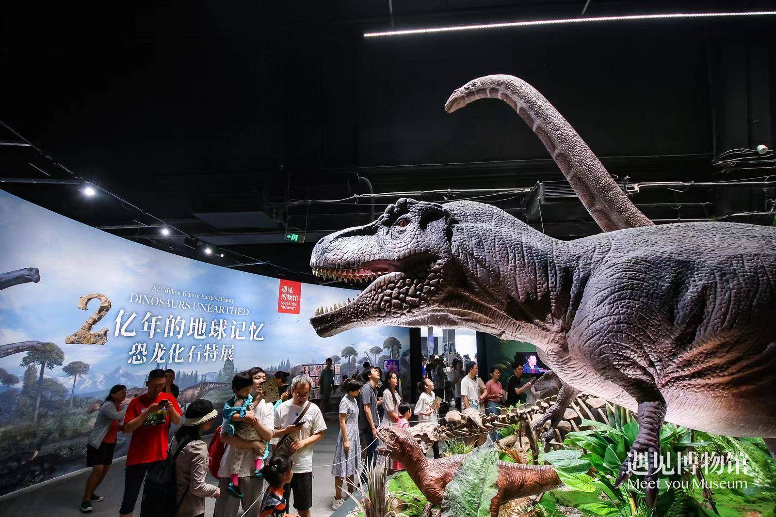 宛如走进"侏罗纪公园"! 超500件珍贵古生物化石在北京展出