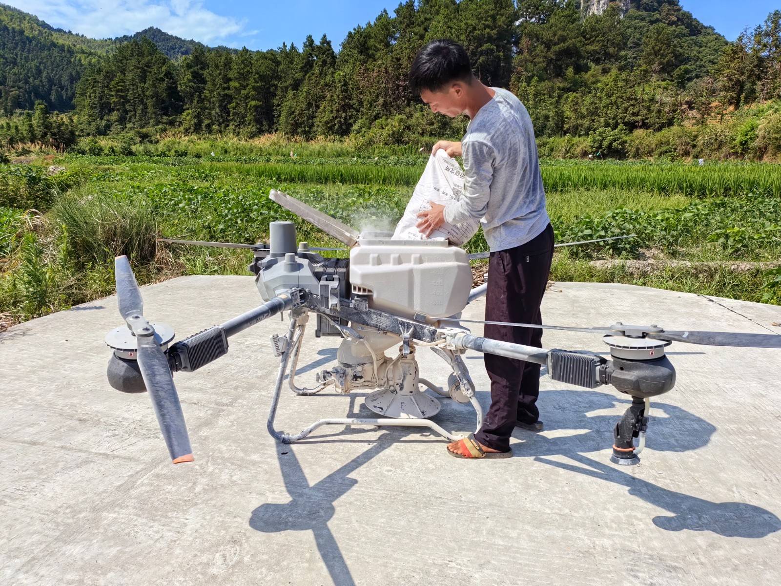 此次飞防作业防治面积320亩,通过无人机喷洒无污染农药,精准喷洒药物