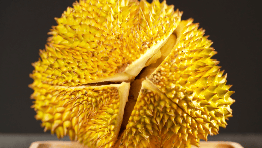 京东超市签署马来西亚榴莲"直采协议", 最早一批"猫山王"9月进入中国