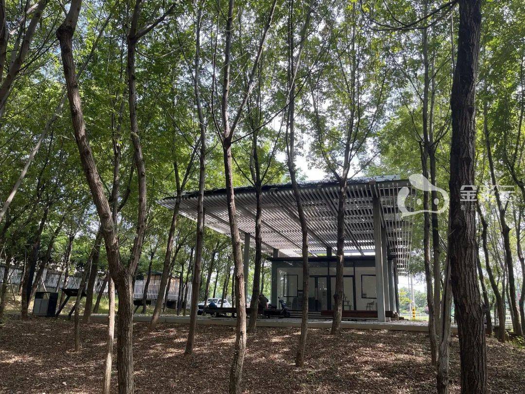 建成多年,弃而不用,可惜!这个绿道驿站怎成了"弃儿"?_婺城区_白沙溪_