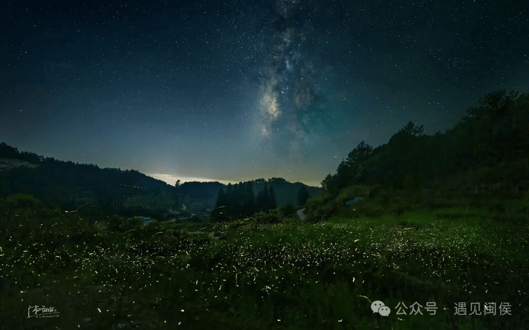 夏天夜晚萤火虫的图片图片