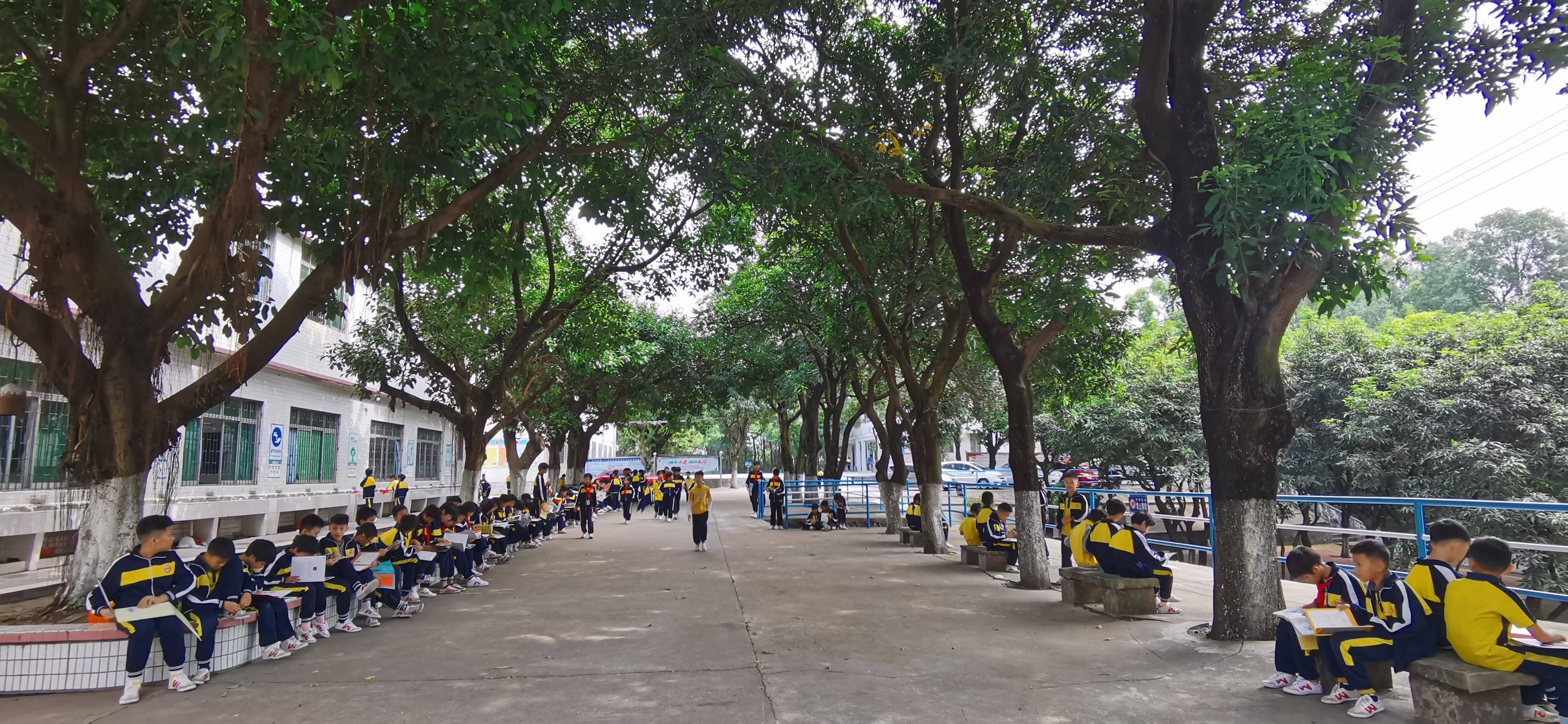 促进教育帮扶产生"倍增"效应,3名珠海教师的支教故事_教学_开平市