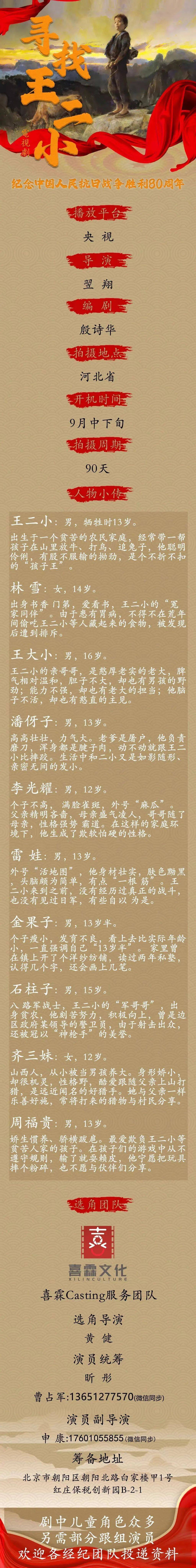 电视剧《寻找王二小》,校园剧等