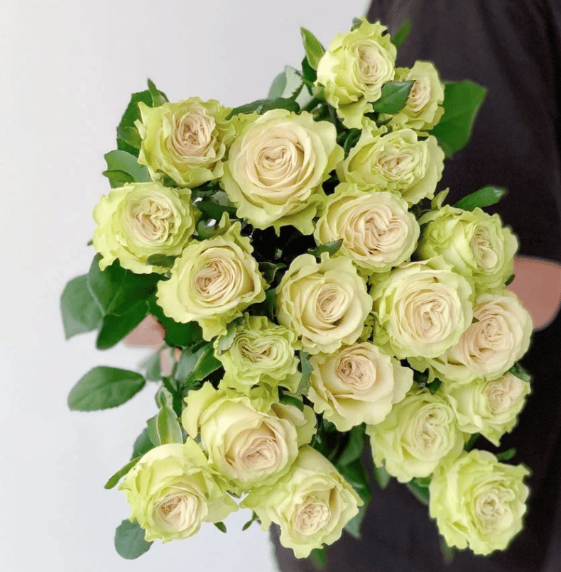 9元方德晴天多头玫瑰一束(40朵)卖价:9 元玲珑粉非洲菊一束(10支)卖价