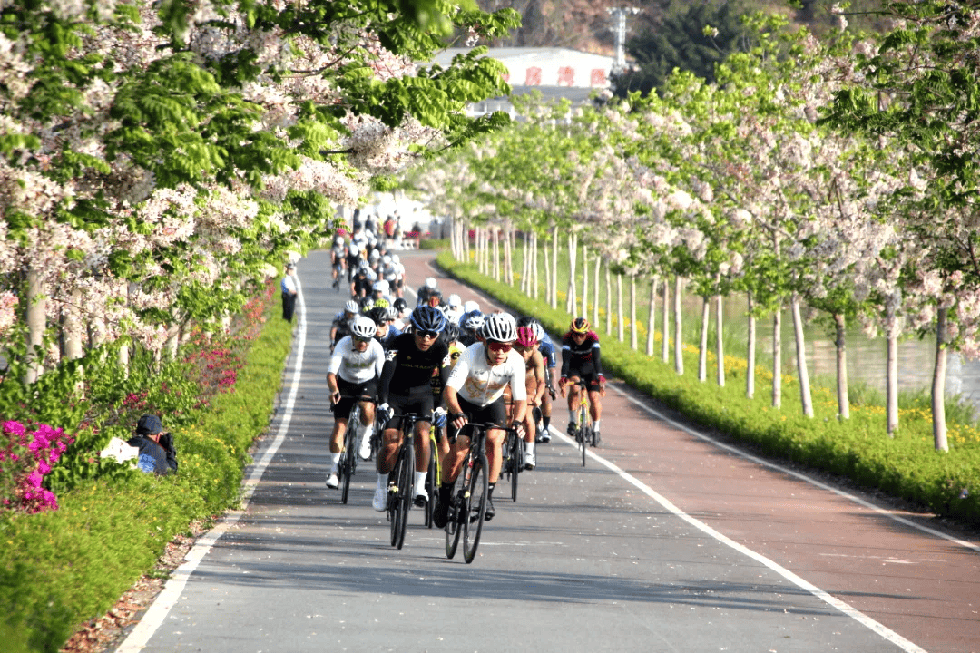 石屏县文体旅