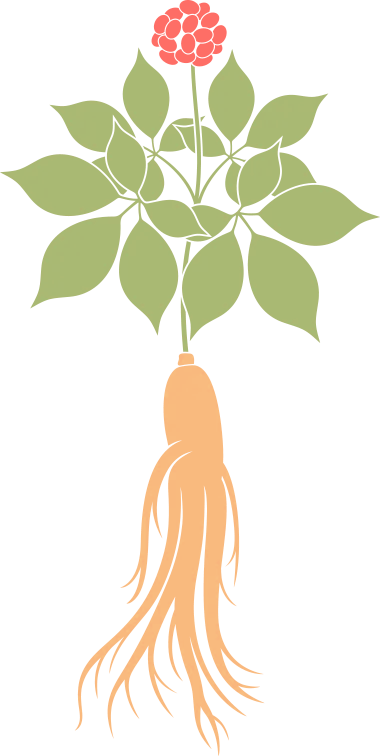 星期戏曲广播会九棵树演出季上海京剧院折子戏专场《弼马温》《下山》