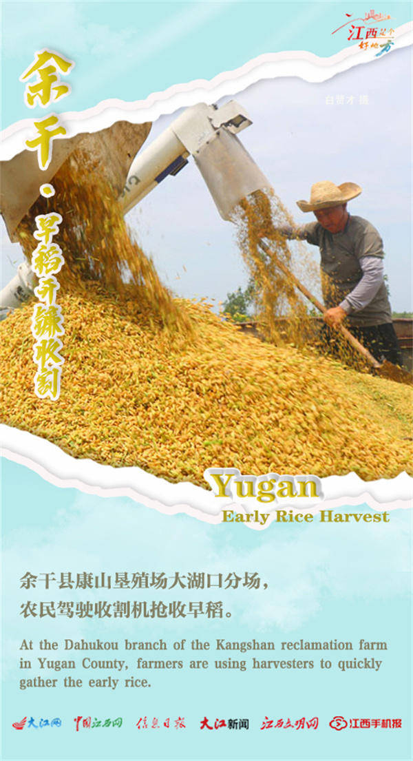 【双语海报】江西:"鱼米之乡"迎来夏日大丰收/the "land of fish and