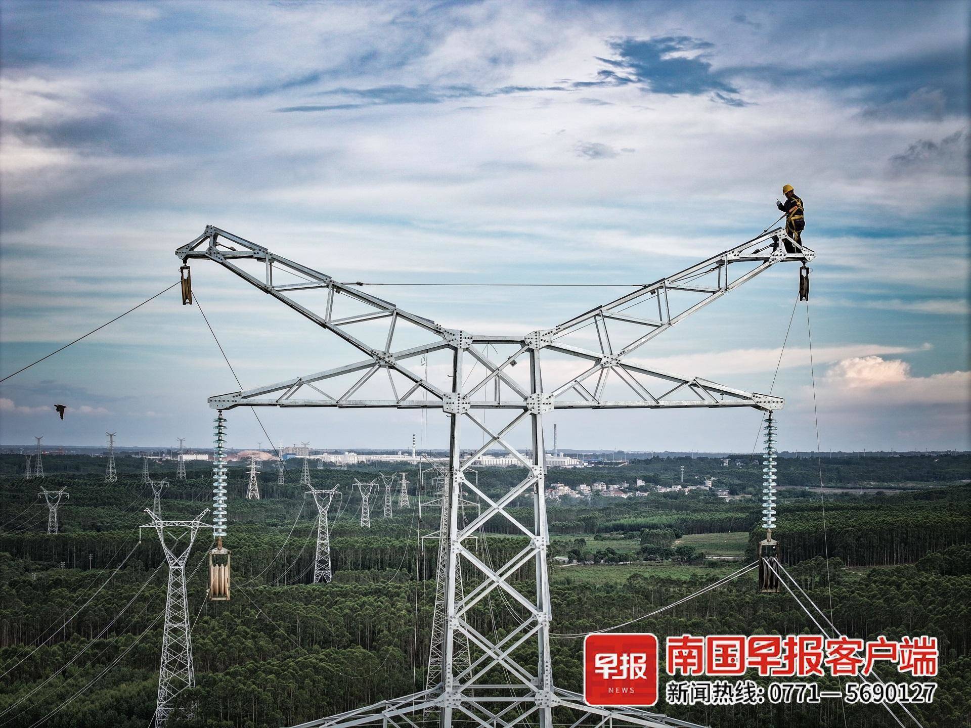 组图丨高压线上的"舞者"
