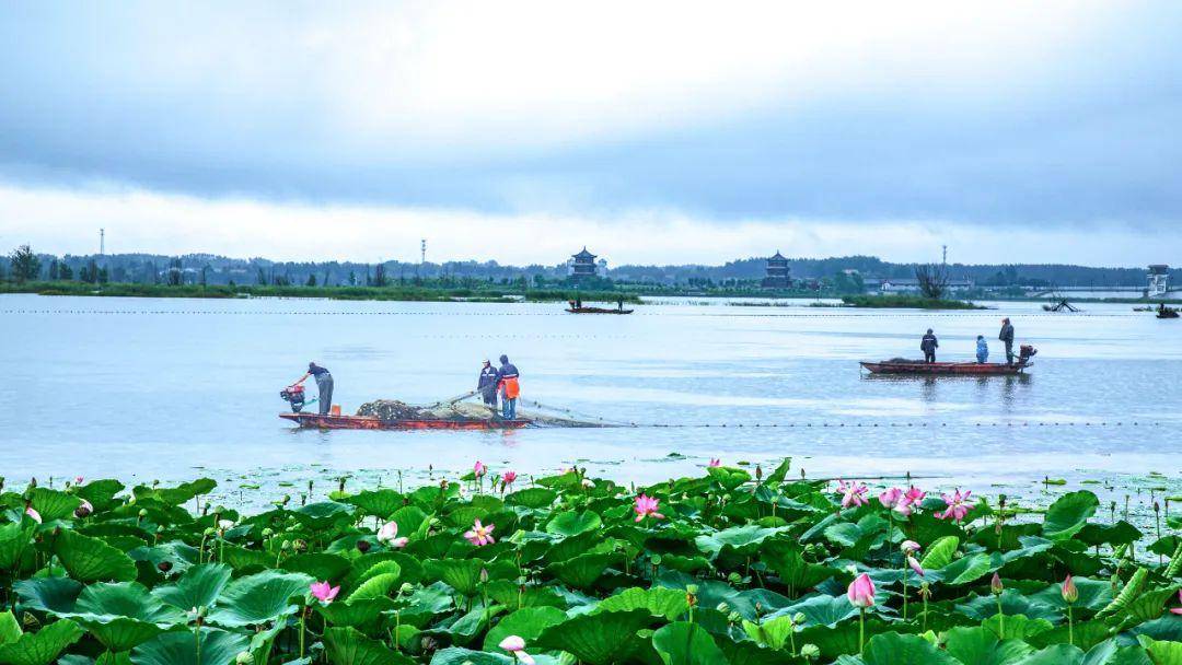 渭南日报:澳门王中王必中一肖一码-城市：超10个城市申办国足18强赛主场  第2张