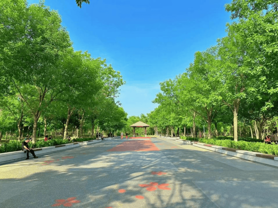 主入口华丽转型,宛平湖广场绿意盎然
