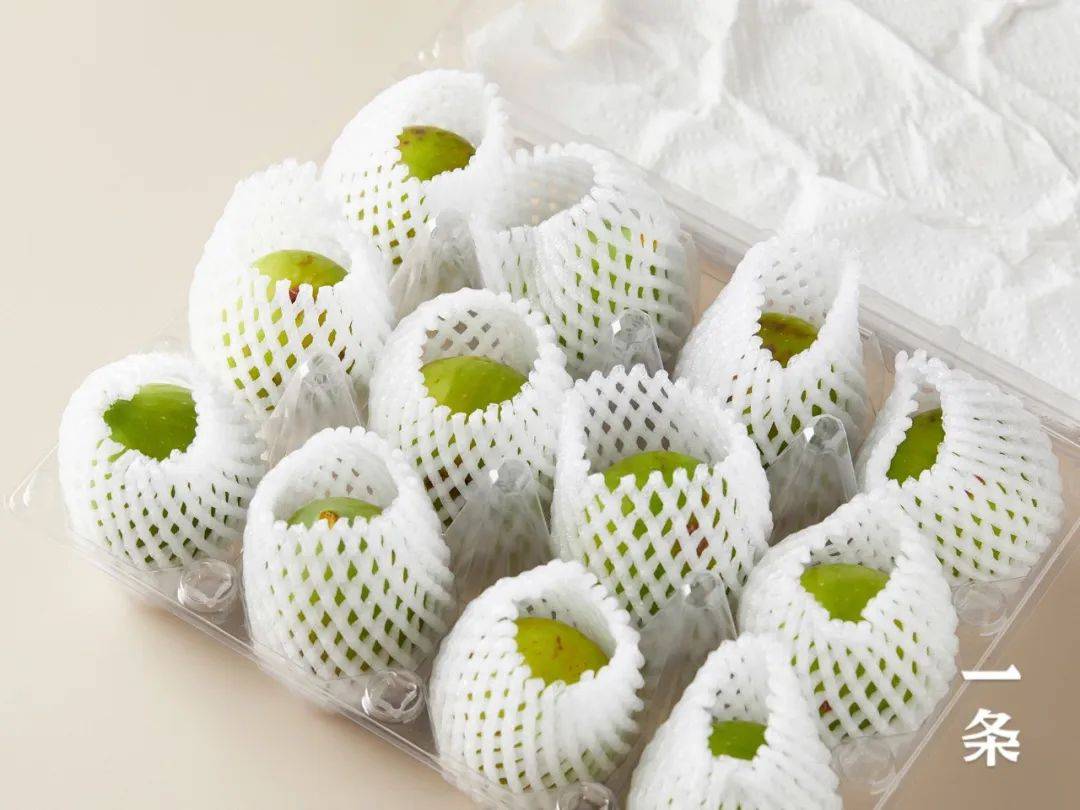 山东威海青皮无花果,软糯香甜,一咬流蜜,一年只能吃2次!