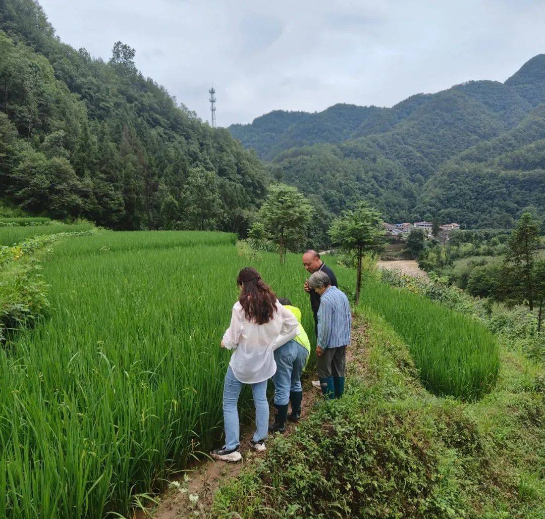 鄂州长岭镇图片