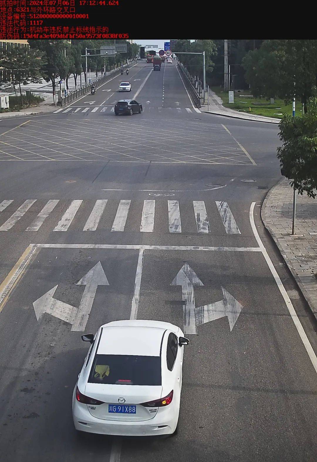 资阳这30辆机动车路口"压实线",来看有你熟悉的吗?