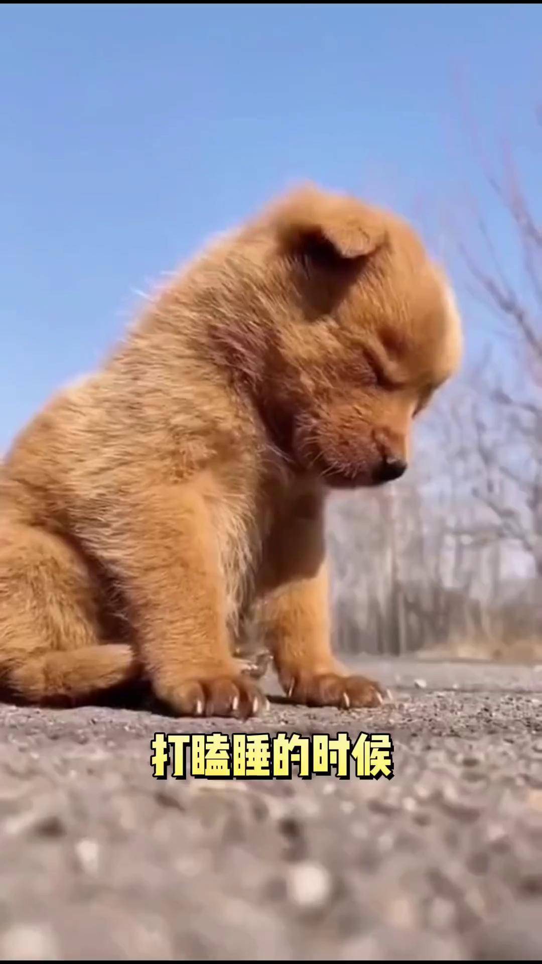 打瞌睡时人会变得更聪明吗?冷知识 科普 搞笑