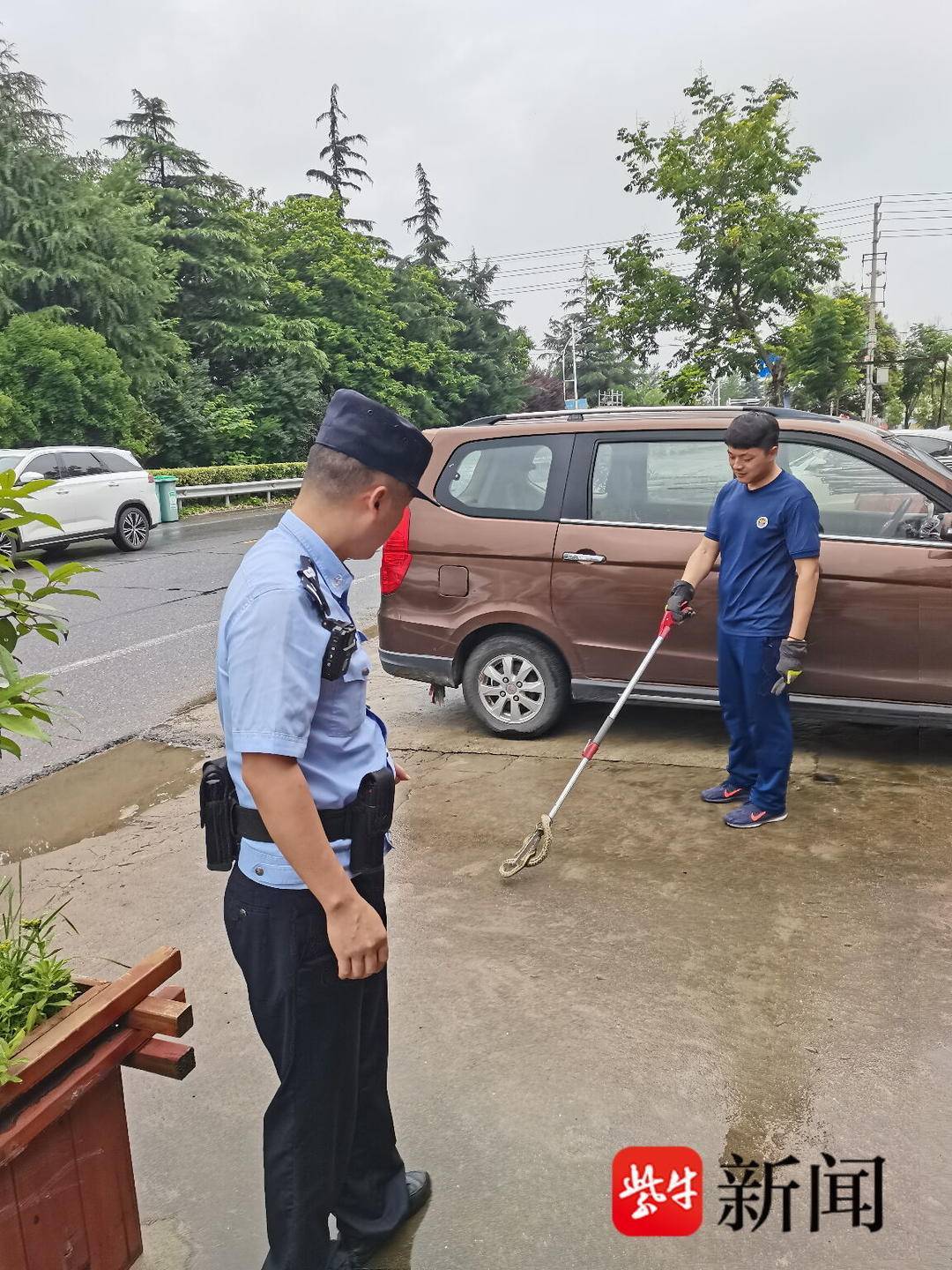 民警变身捕蛇者为民解忧获点赞