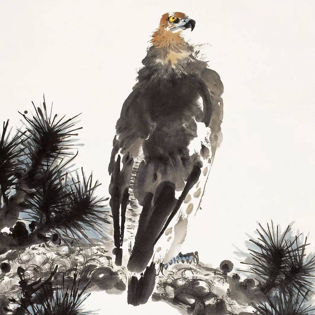 萧朗禽鸟画的好(百幅),收藏学习离不了