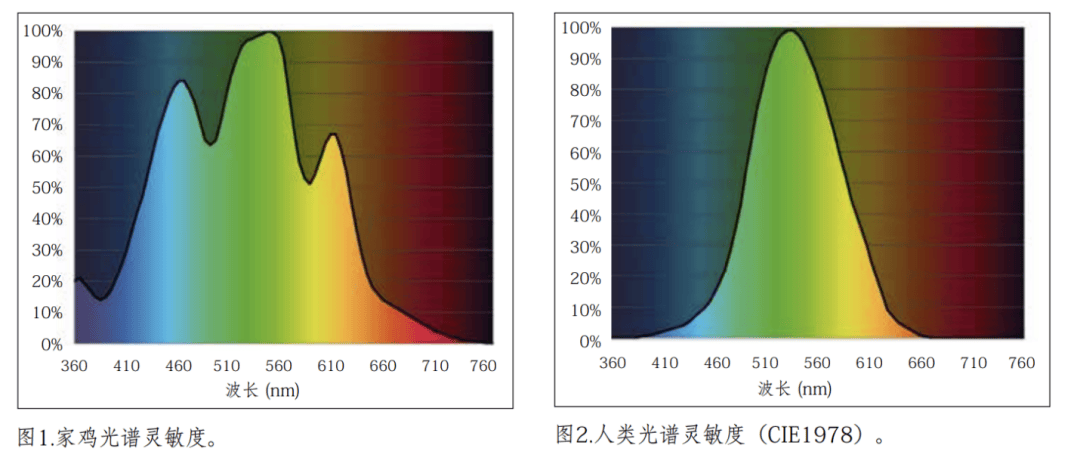 光照特性曲线图片