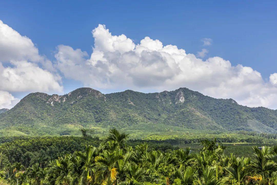 且以诗意赋山海——出发,乐东!_旅游_乐东旅_天池