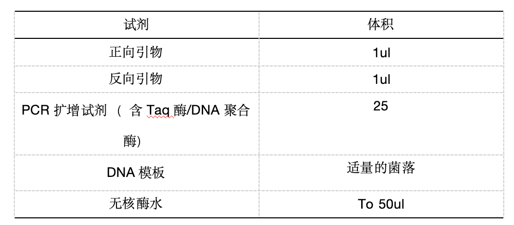 质粒载体构建的实验步骤及经验分享