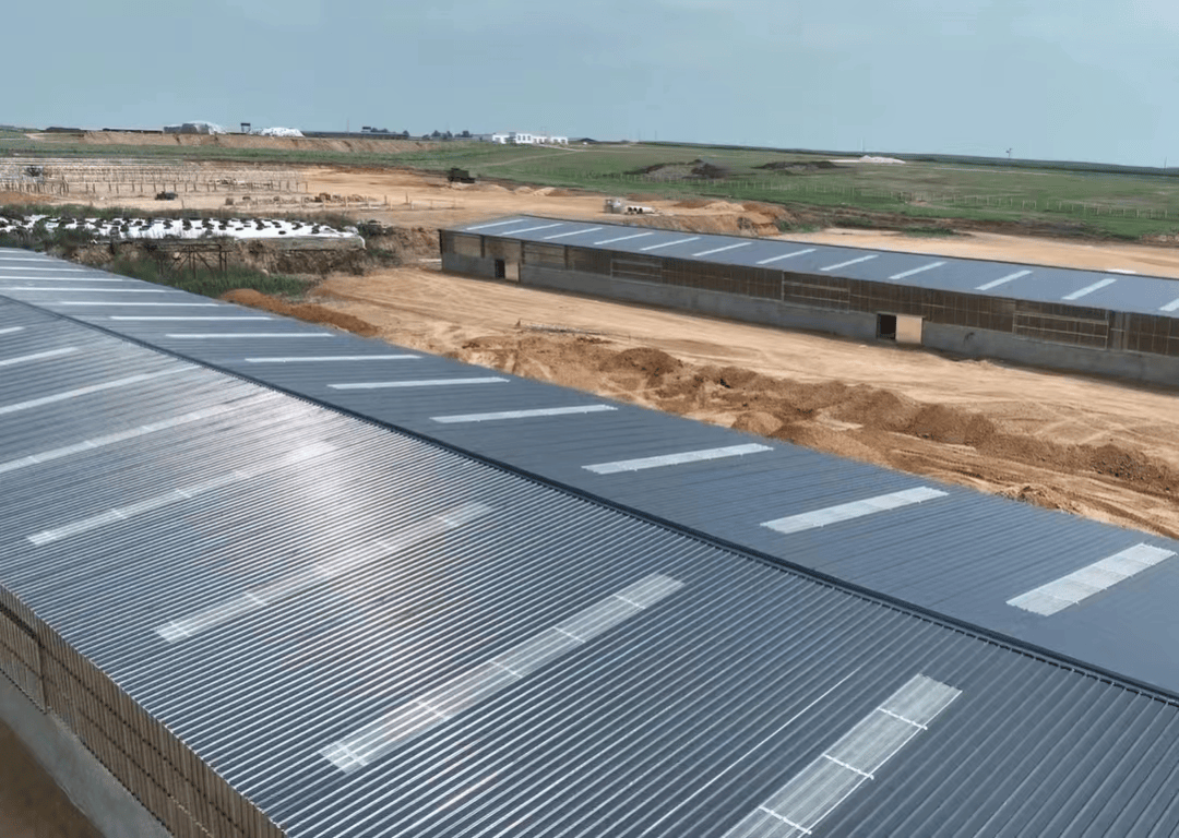 齐齐哈尔龙江县杏山镇加快黑牛养殖项目建设