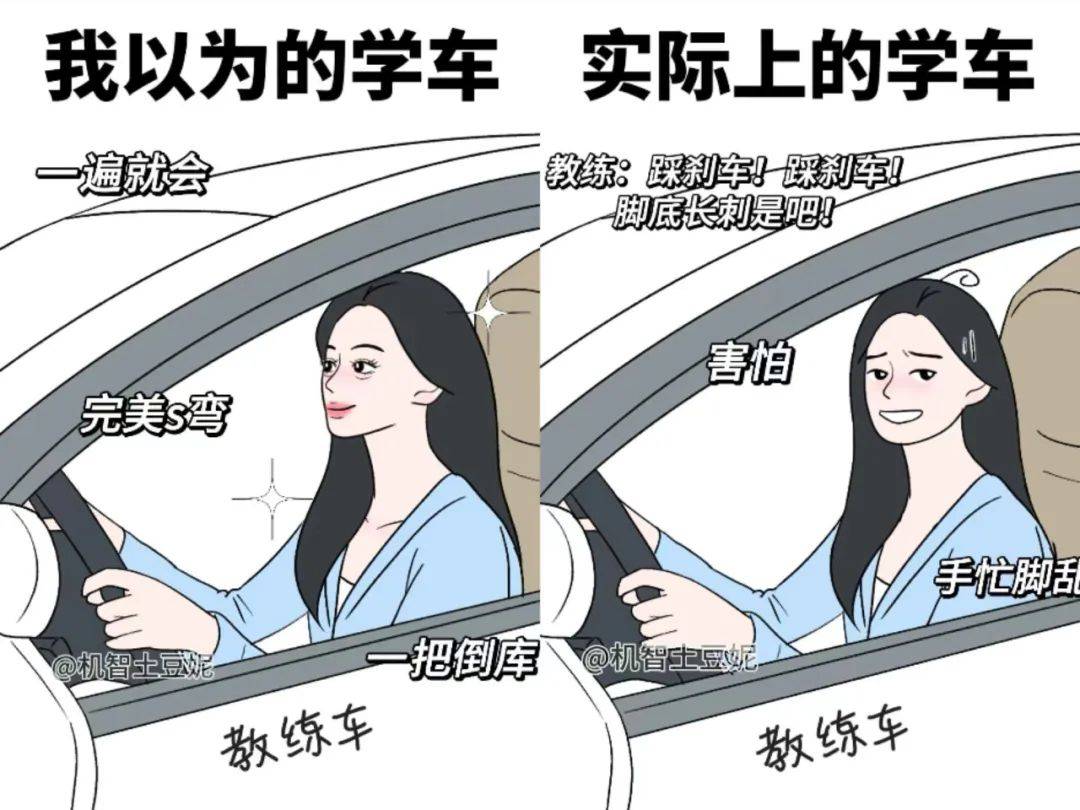 大学生们,又双叒叕来考驾照了