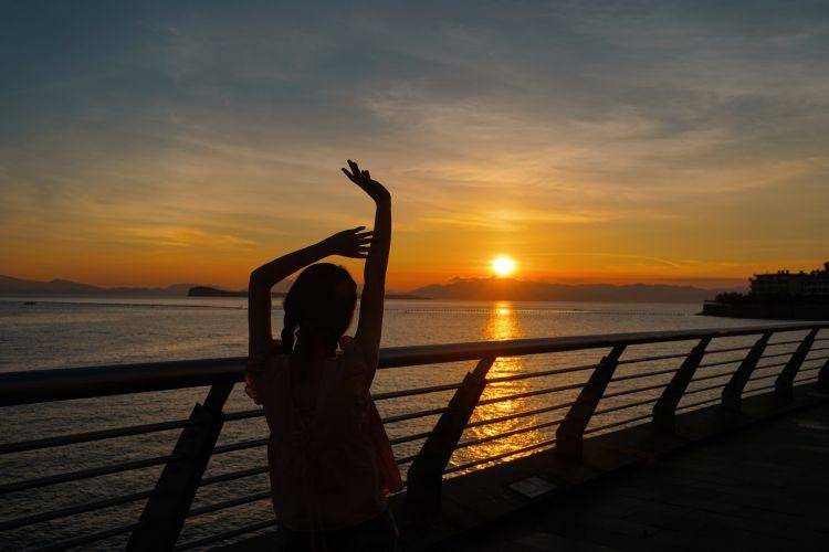 抖音dodo_抖音豆豆逗逗_战豆豆抖音