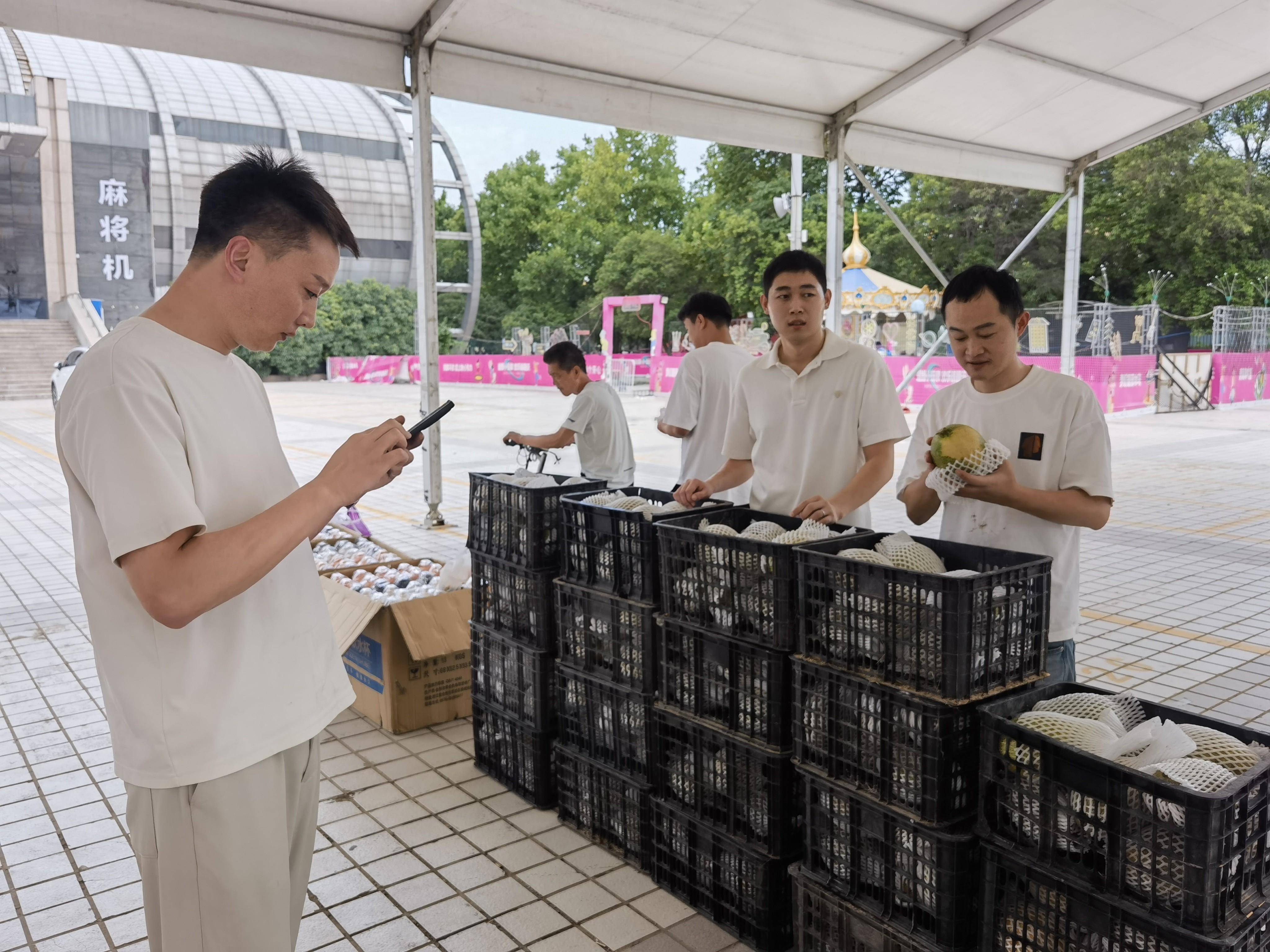 商丘张阁镇规划最新图片