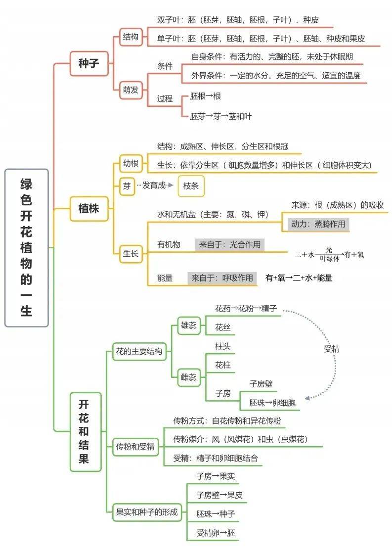 初中生物全册思维导图总结