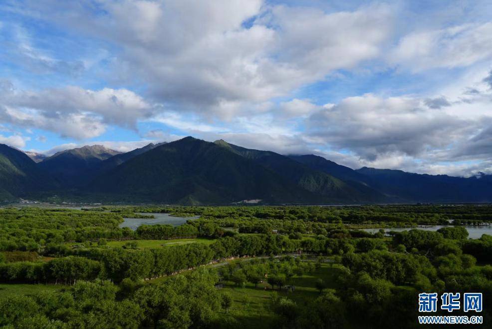 我们的家园 湿 绘就绿水青山新画卷 亦画 雅尼国家湿地公园 亦