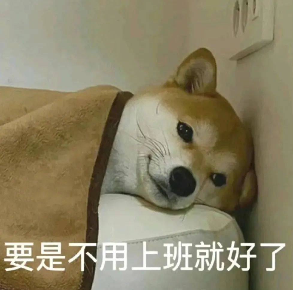 瑟瑟调情表情包!