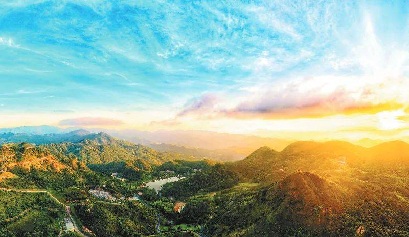 "世界老虎日"探秘上杭梅花山——中国虎园 虎虎生威