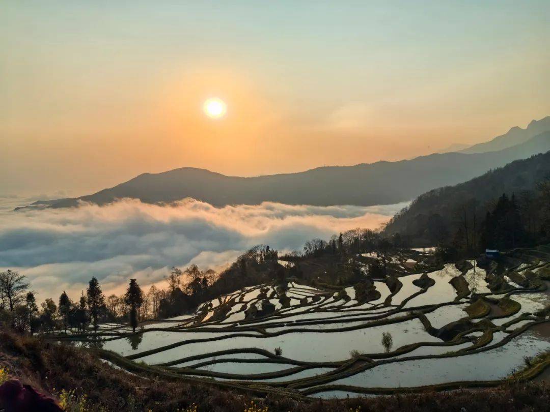 元阳哈尼梯田一日游图片