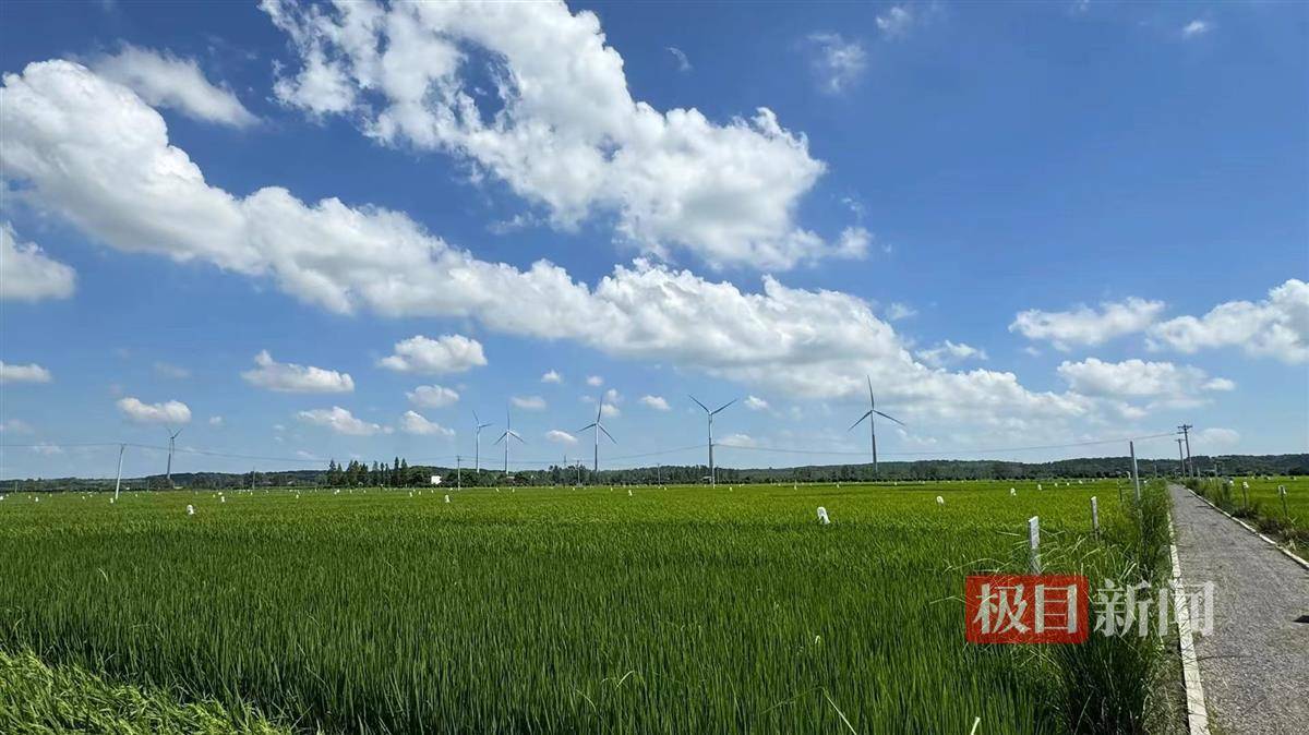 🌸北京日报【澳门六开彩天天开奖结果】_我国在一些城市开展国际消费中心城市培育建设