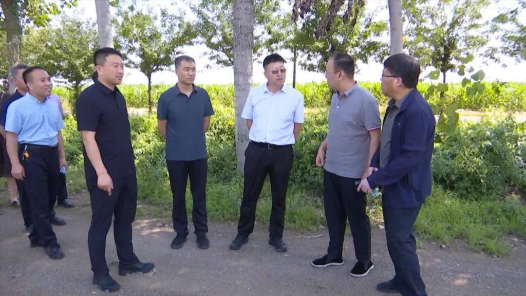 李洪波带队在曲沃调研粮食种植面积及粮食产量等工作